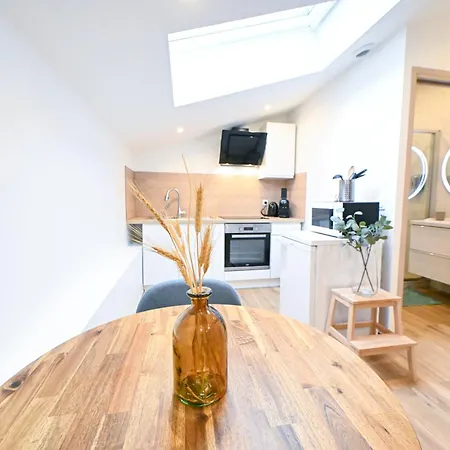 아파트 Beau Cozy Centre Et Plages N13 니스